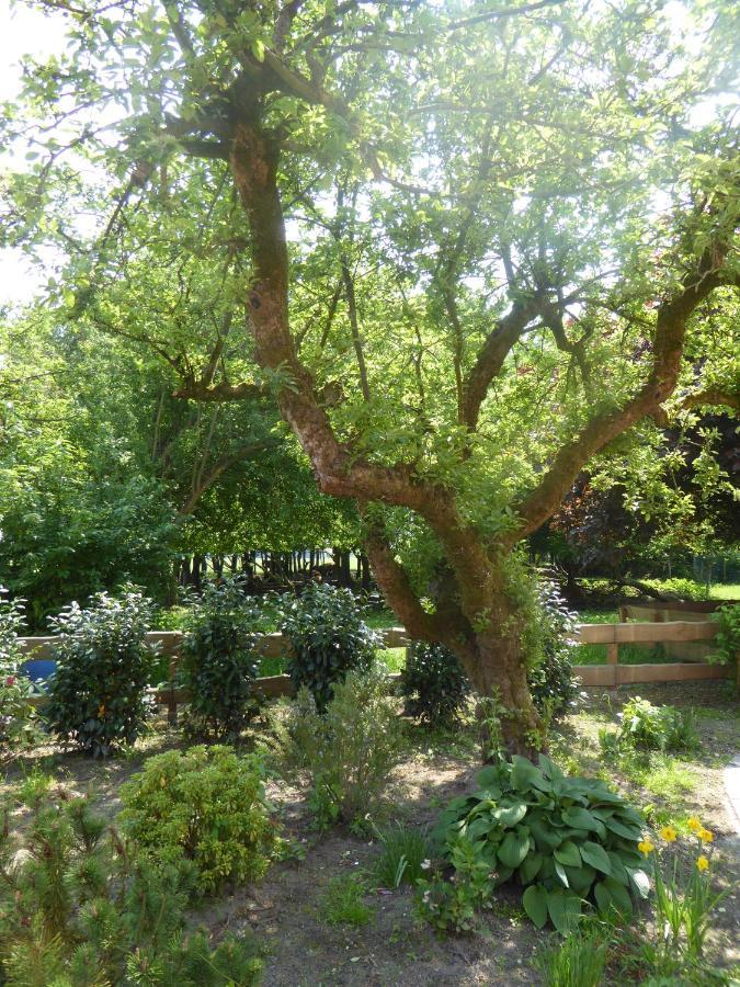 Ferienwohnung Elise Im Gulfhof Am Kanal Grossefehn 外观 照片